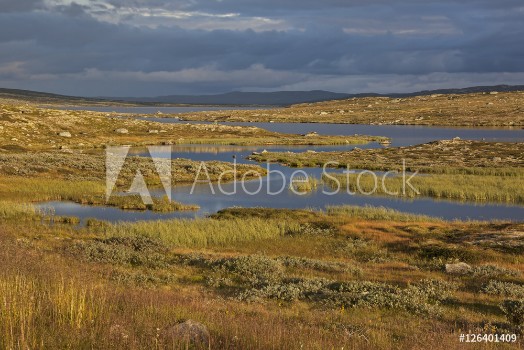 Bild på River through tundra in high Hardangervidda Norwegian plateau
